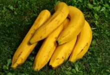 Bananas