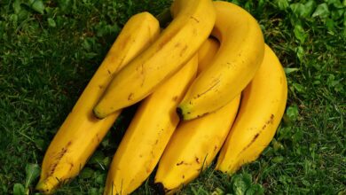 Bananas