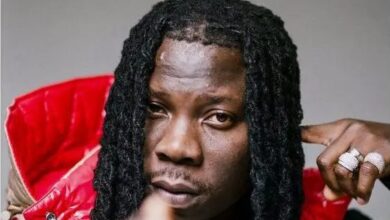 Stonebwoy Thrills Fans at Ruhr Reggae Summer Festival in Germany
